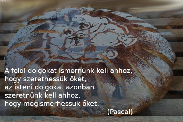 Pascal - A földi dolgokat ismernünk kell.png